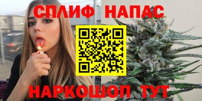 PSILOCYBIN Гусиноозёрск