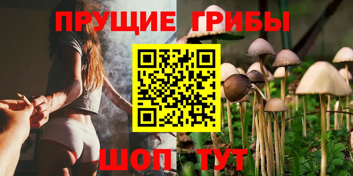 Псилоцибиновые грибы Cubensis  Вход с VPN  Донецк 